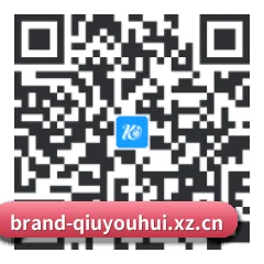 华为鸿蒙生态专享端 二维码